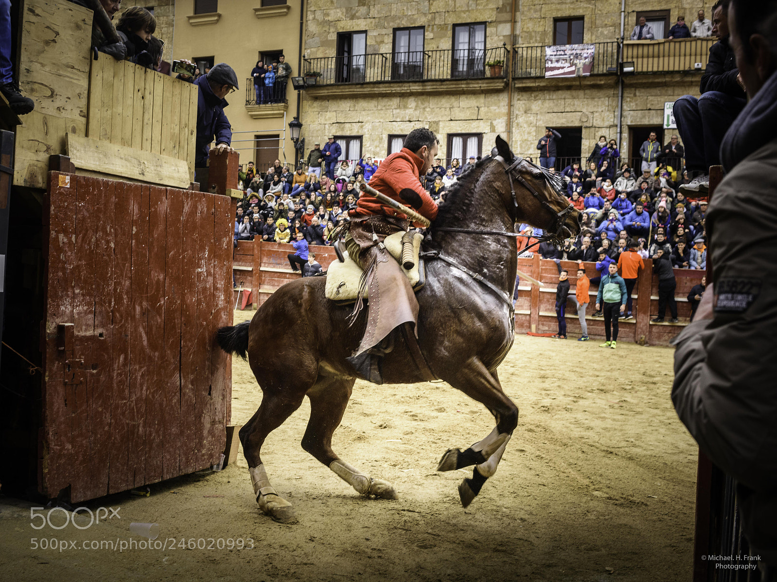 Nikon D810 sample photo. Carnaval de toros ciudad photography