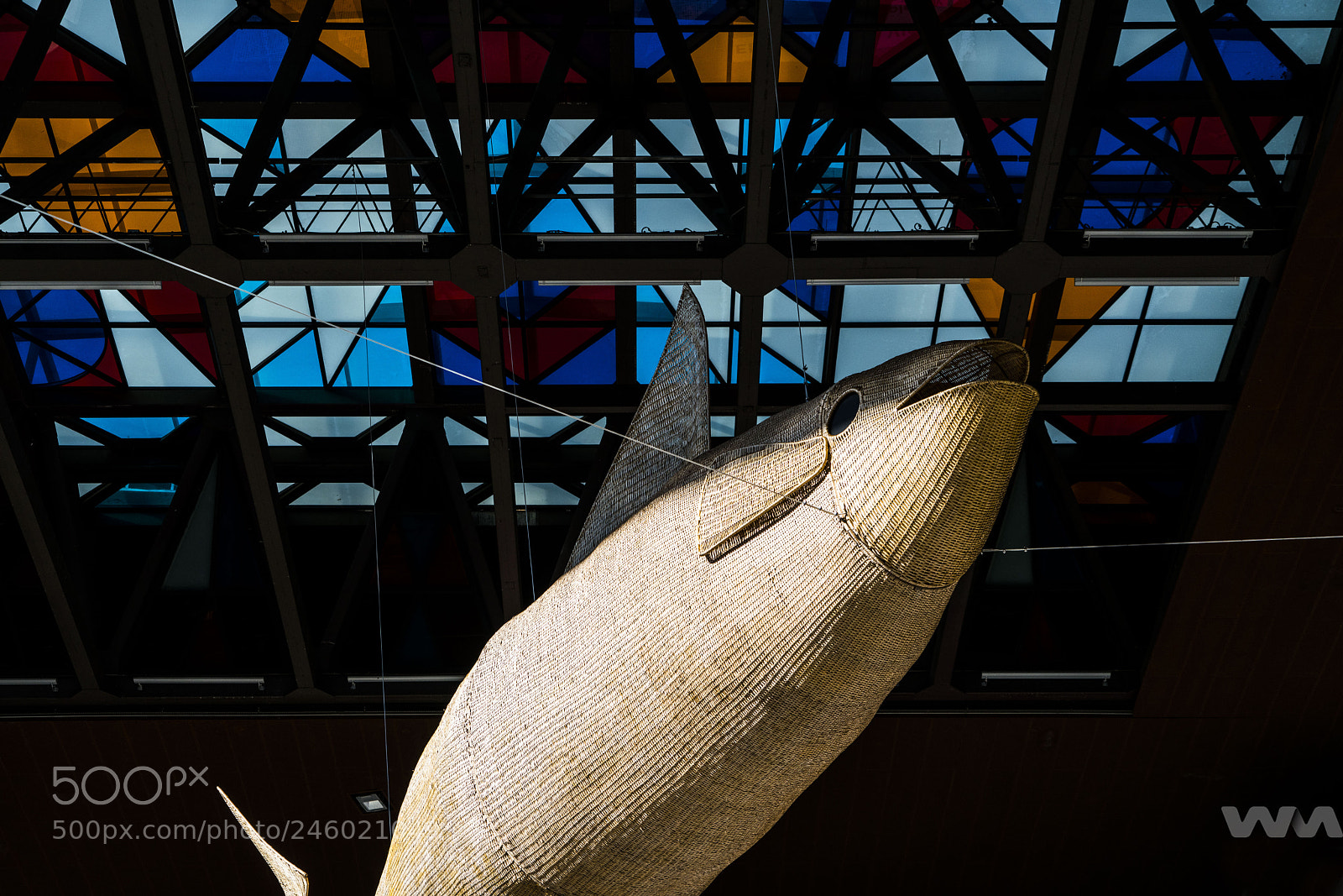 Sony a7R II sample photo. Dsc photography