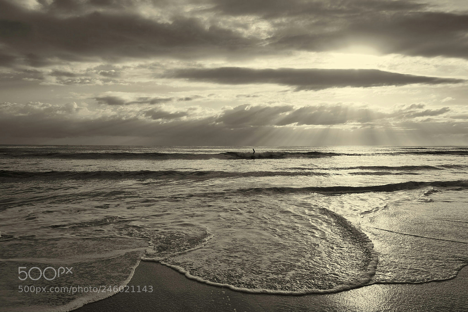 Sony a7S sample photo. Sunshine coast australia 5 photography