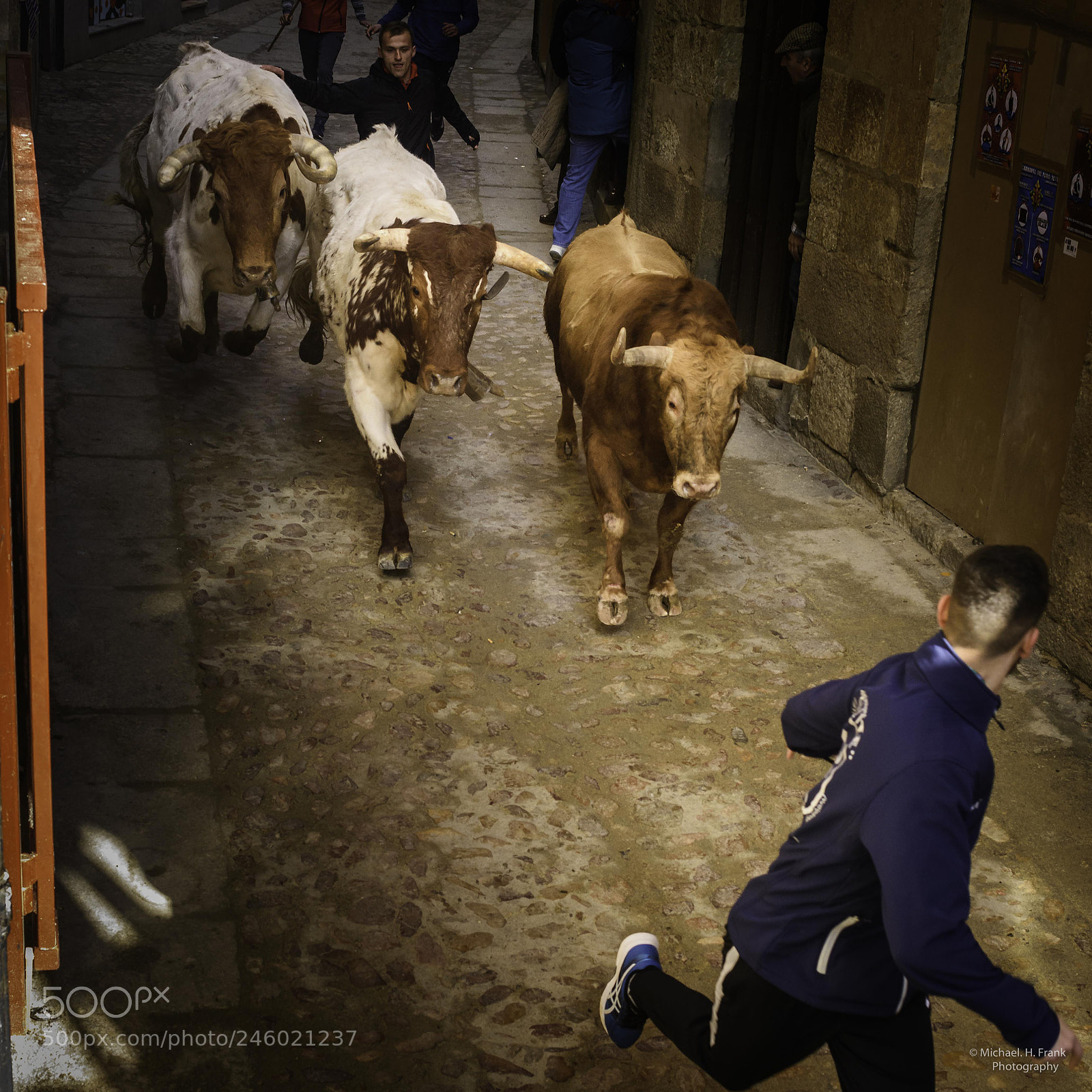Nikon D810 sample photo. Carnaval de toros ciudad photography