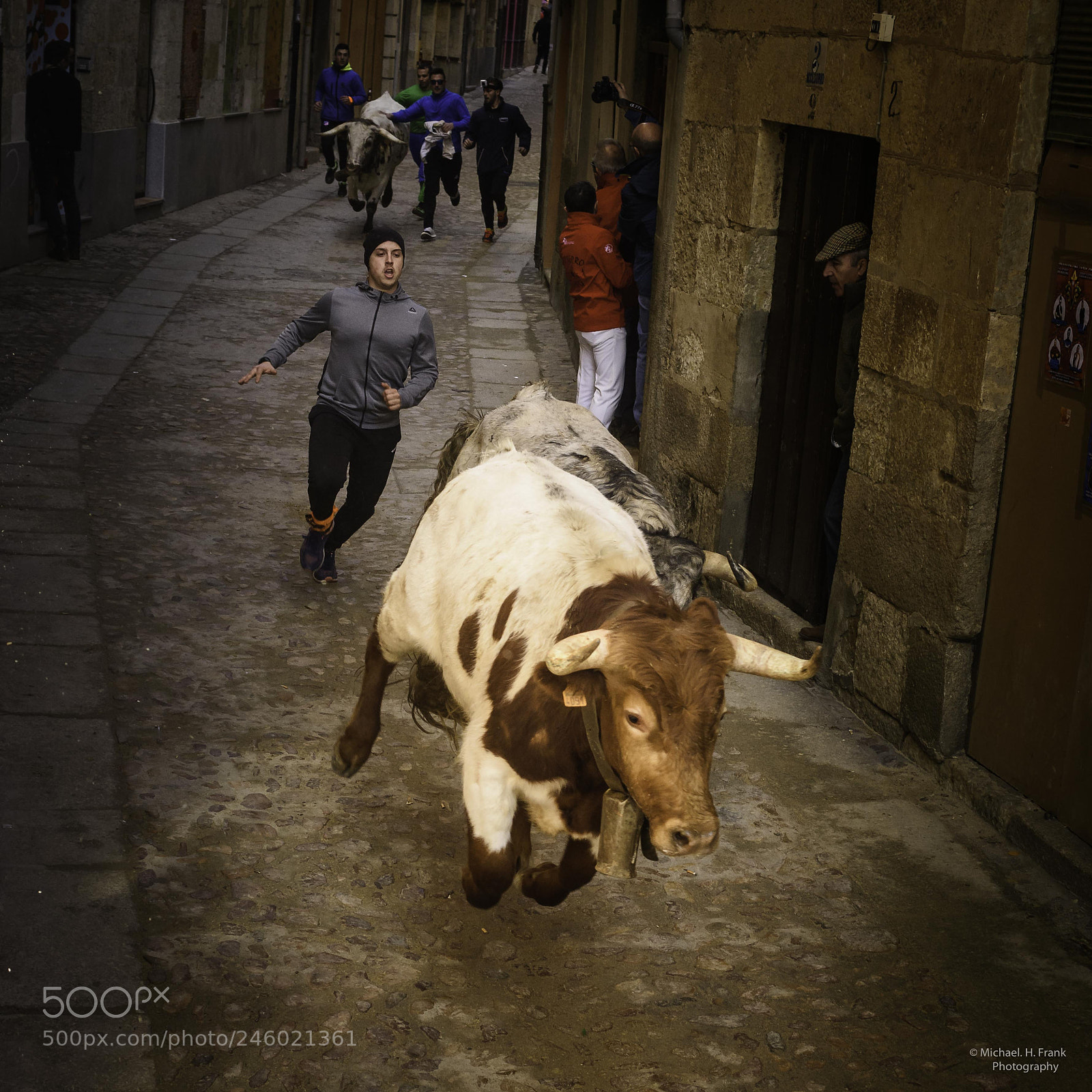 Nikon D810 sample photo. Carnaval de toros ciudad photography