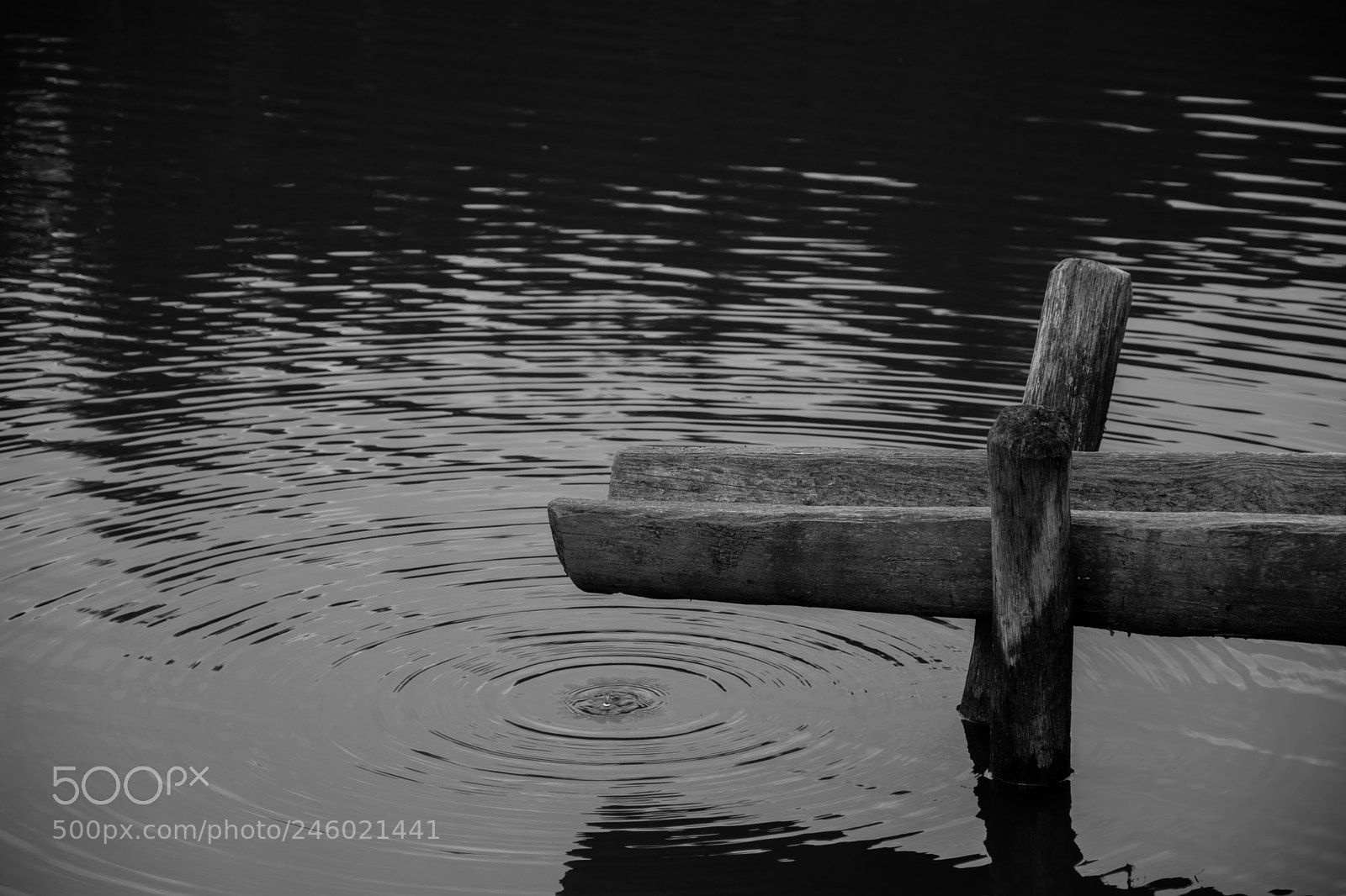Nikon D7200 sample photo. Silence photography