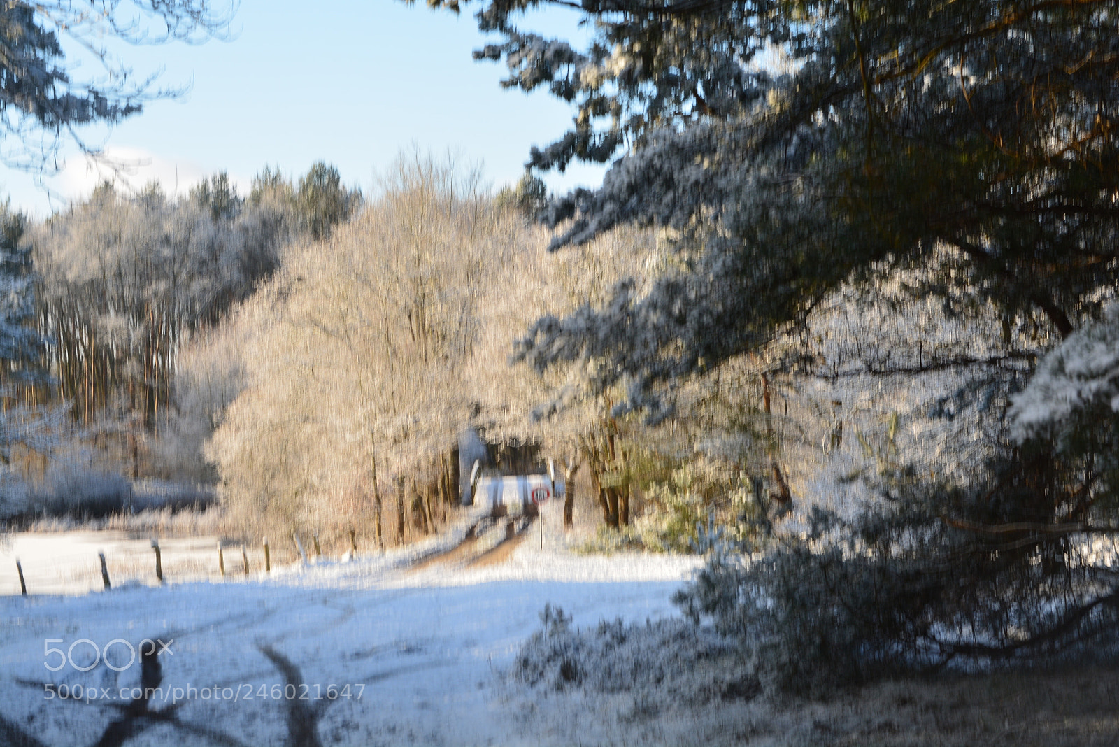Nikon D5200 sample photo. Winterlandschaft photography