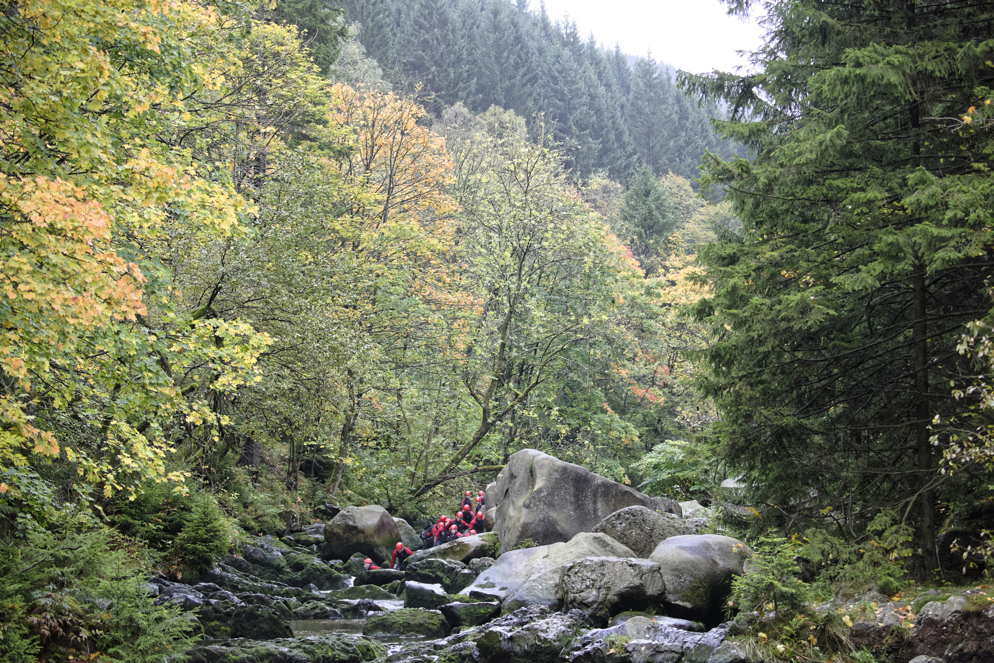 Nikon D810 sample photo. Oker in harz.verlöbungsinsen. photography