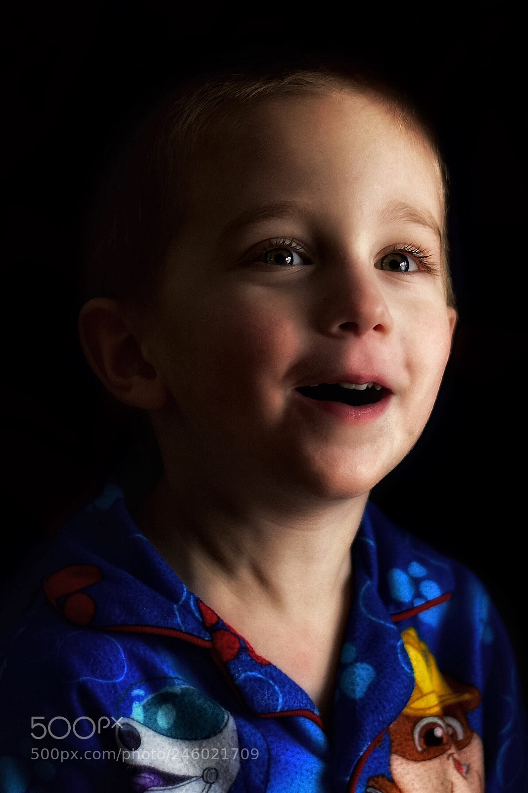 Nikon D5600 sample photo. Untitled photography