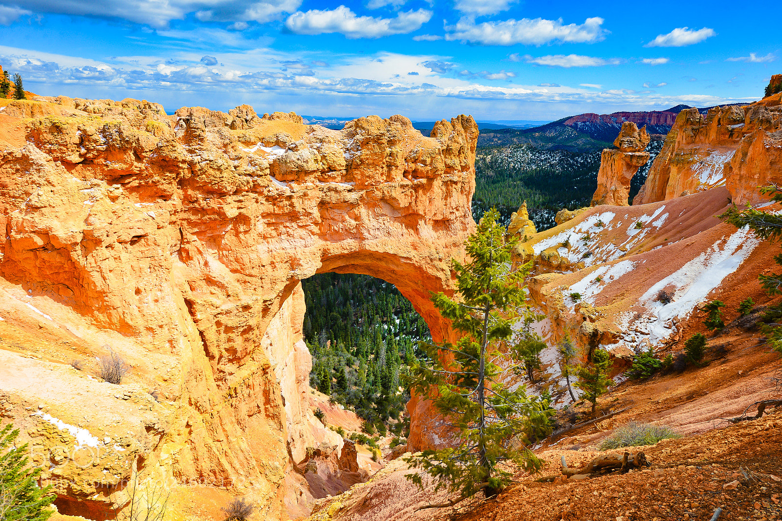 Nikon D600 sample photo. Bryce for the best photography