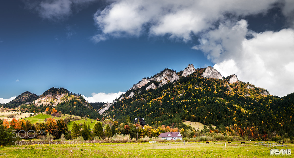 Nikon D300 sample photo. Trzy korony, pieniny photography
