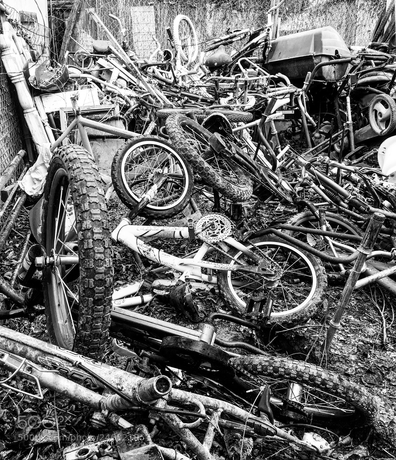 Apple iPhone 6s Plus sample photo. Bicycle junk yard photography