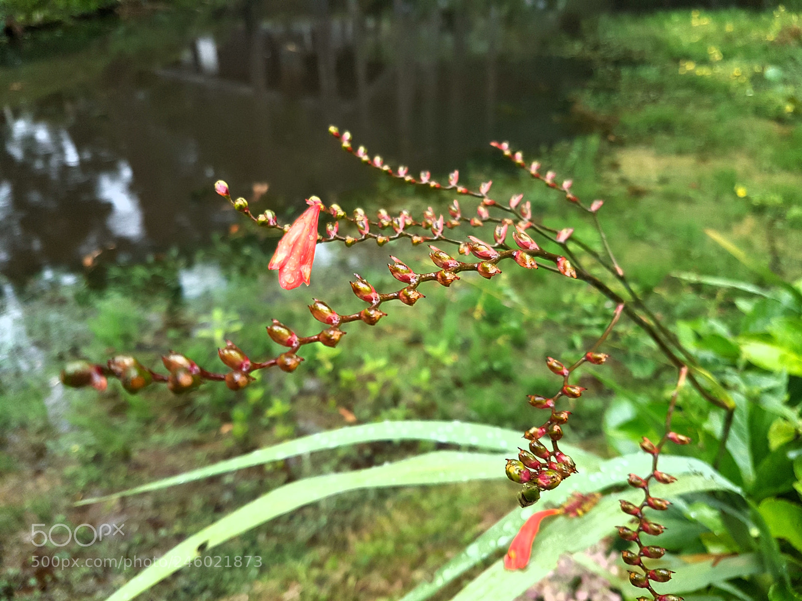 Samsung Galaxy S7 Edge sample photo. Untitled photography
