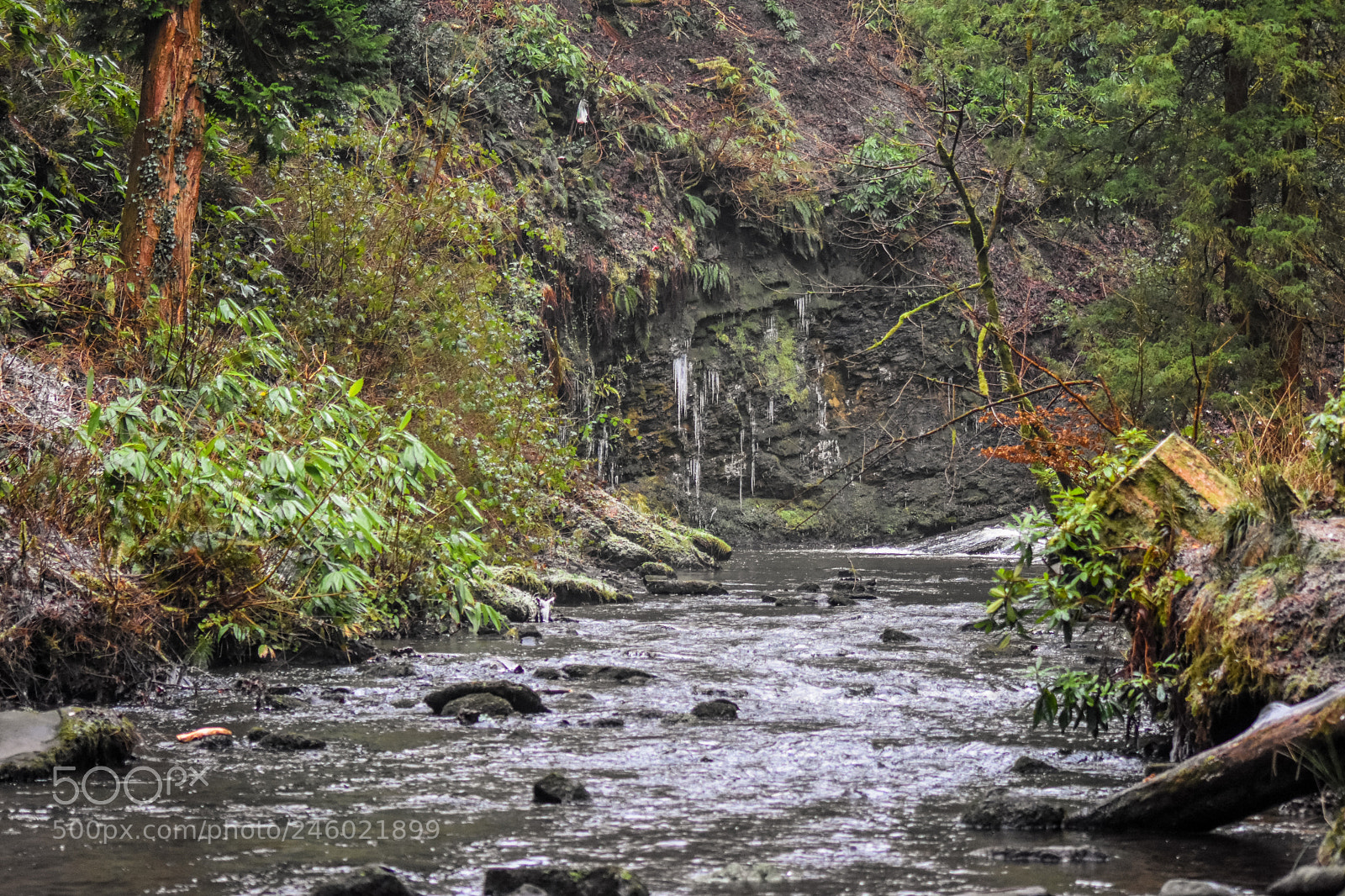 Nikon D7200 sample photo. Original edited photography