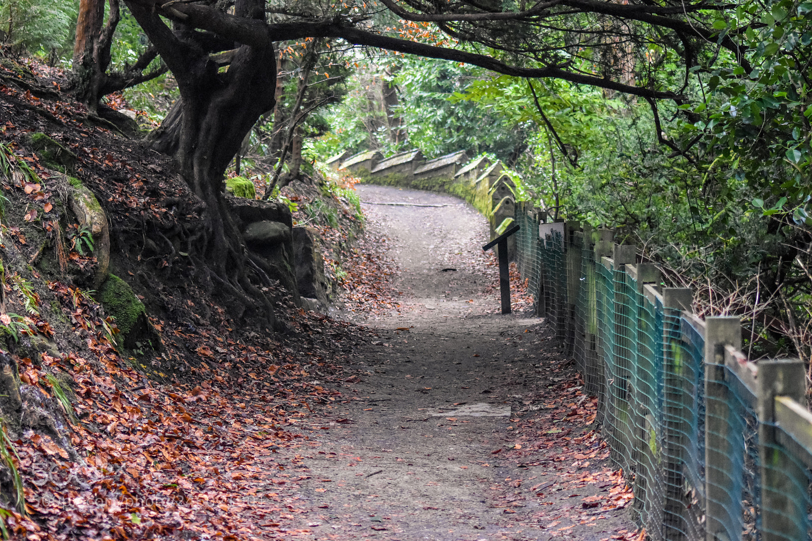 Nikon D7200 sample photo. Original edited photography