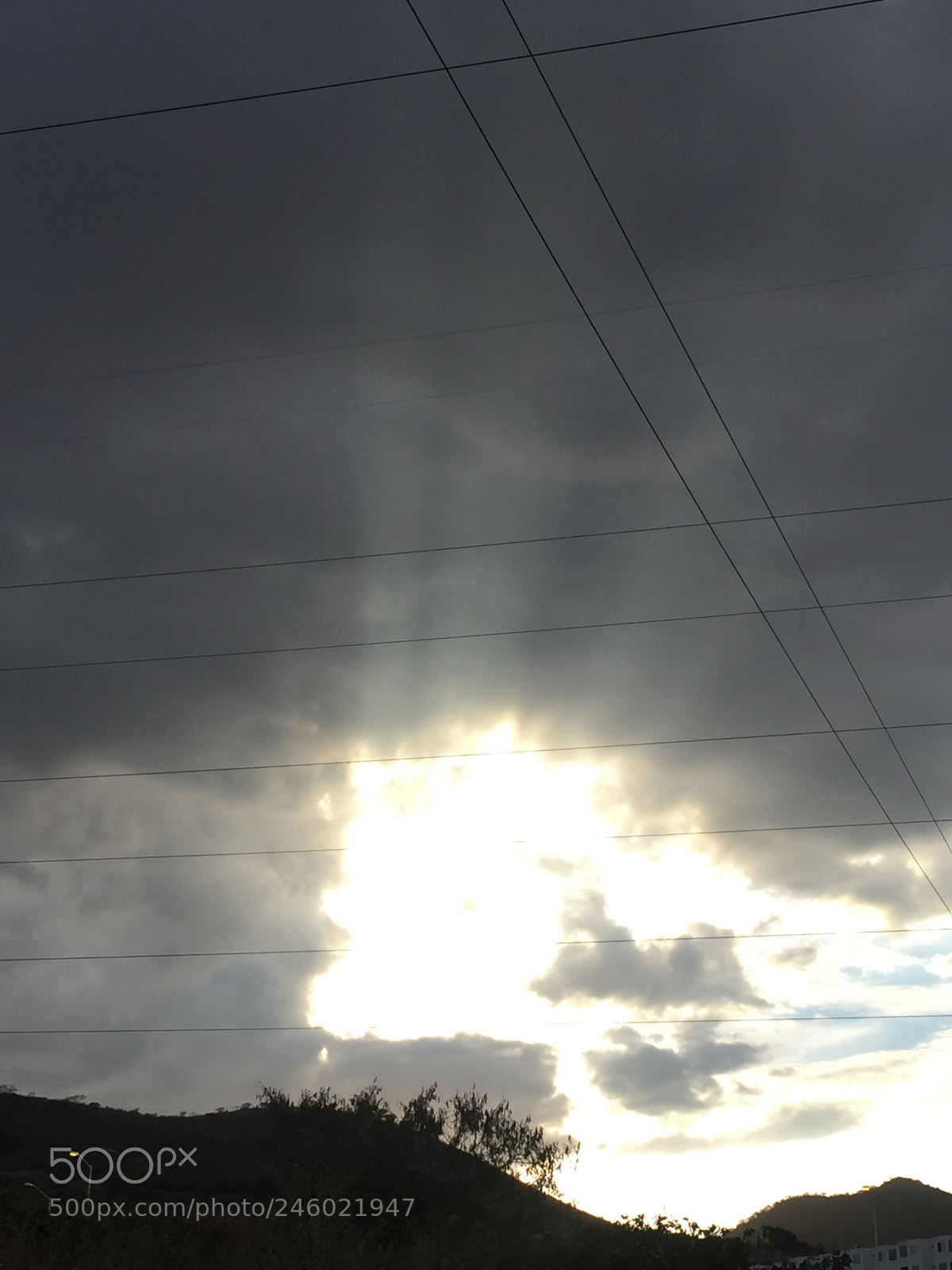 Apple iPhone 6 sample photo. Untitled photography