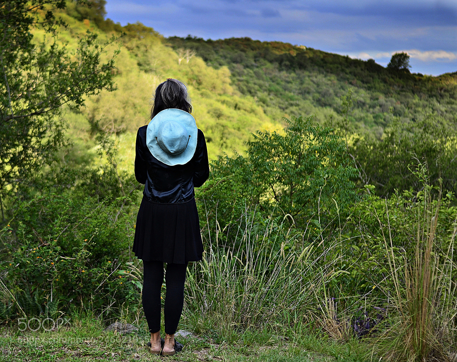 Nikon D3100 sample photo. Untitled photography