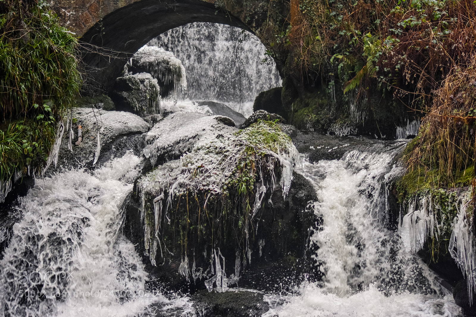 Nikon D7200 sample photo. Original edited photography