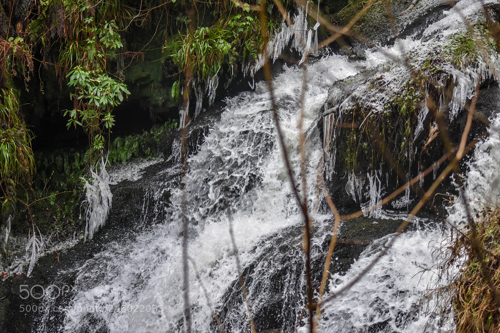 Nikon D7200 sample photo. Original edited photography