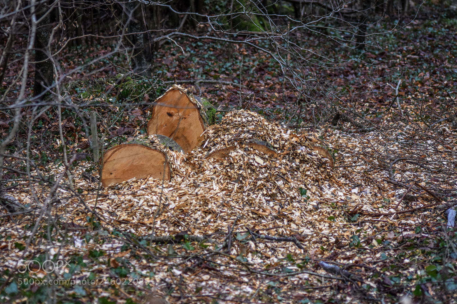 Nikon D7200 sample photo. Original edited photography