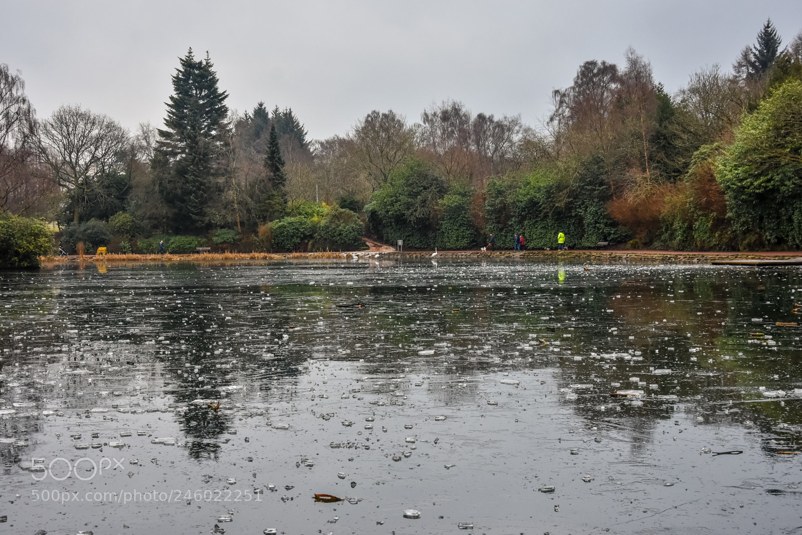 Nikon D7200 sample photo. Original edited photography