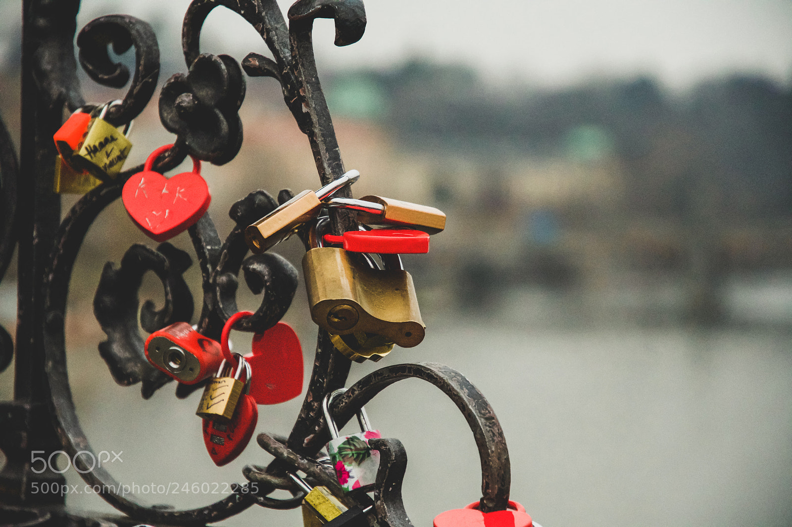 Nikon D500 sample photo. Love in the heart ♥️ photography