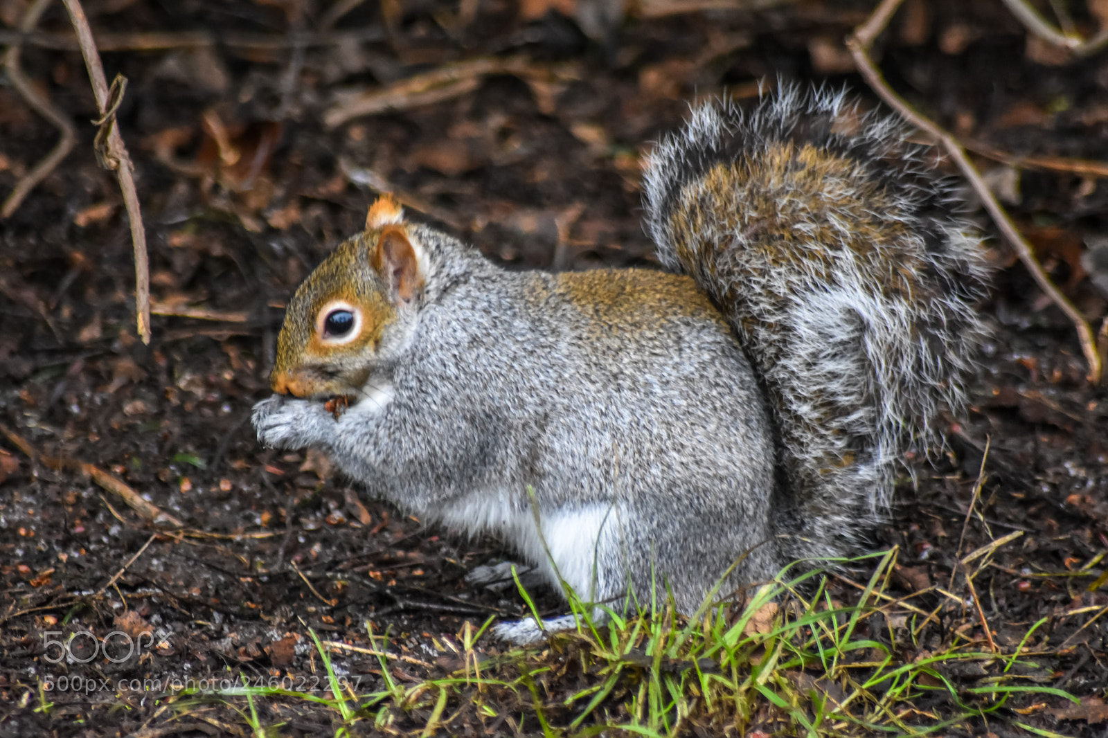 Nikon D7200 sample photo. Original edited photography