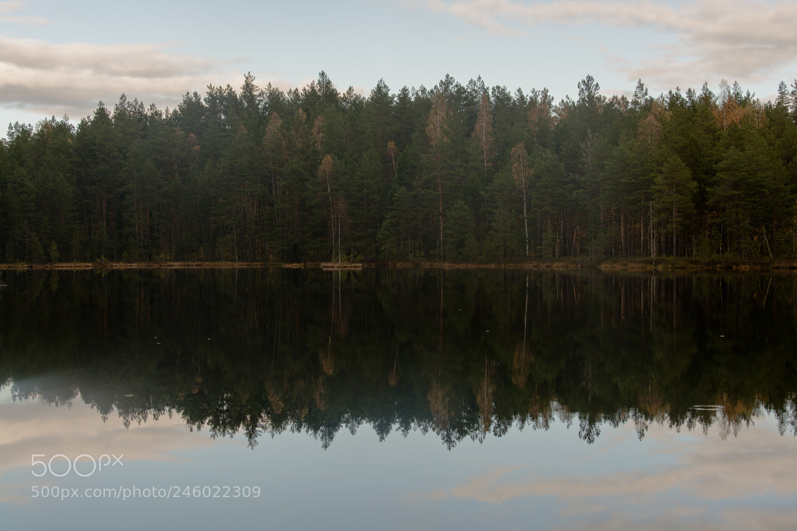 Nikon D5200 sample photo. Nature mirror photography