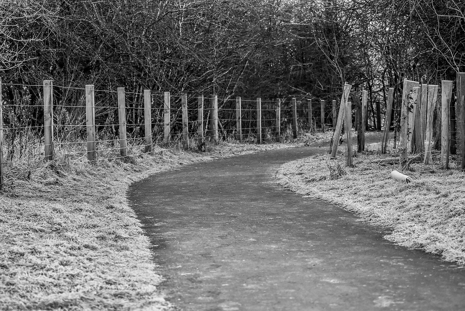 Nikon D7200 sample photo. Original edited photography