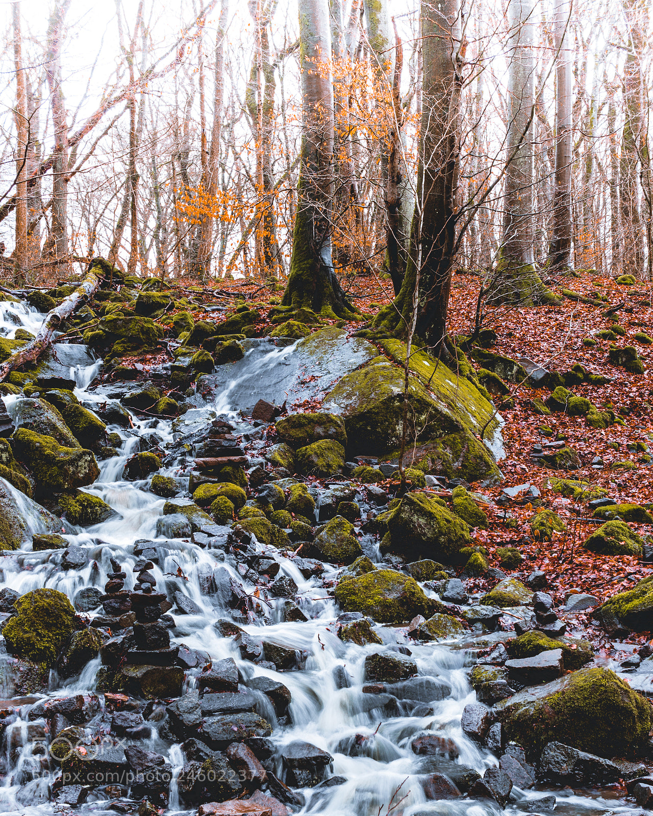 Canon EOS 700D (EOS Rebel T5i / EOS Kiss X7i) sample photo. Creek photography