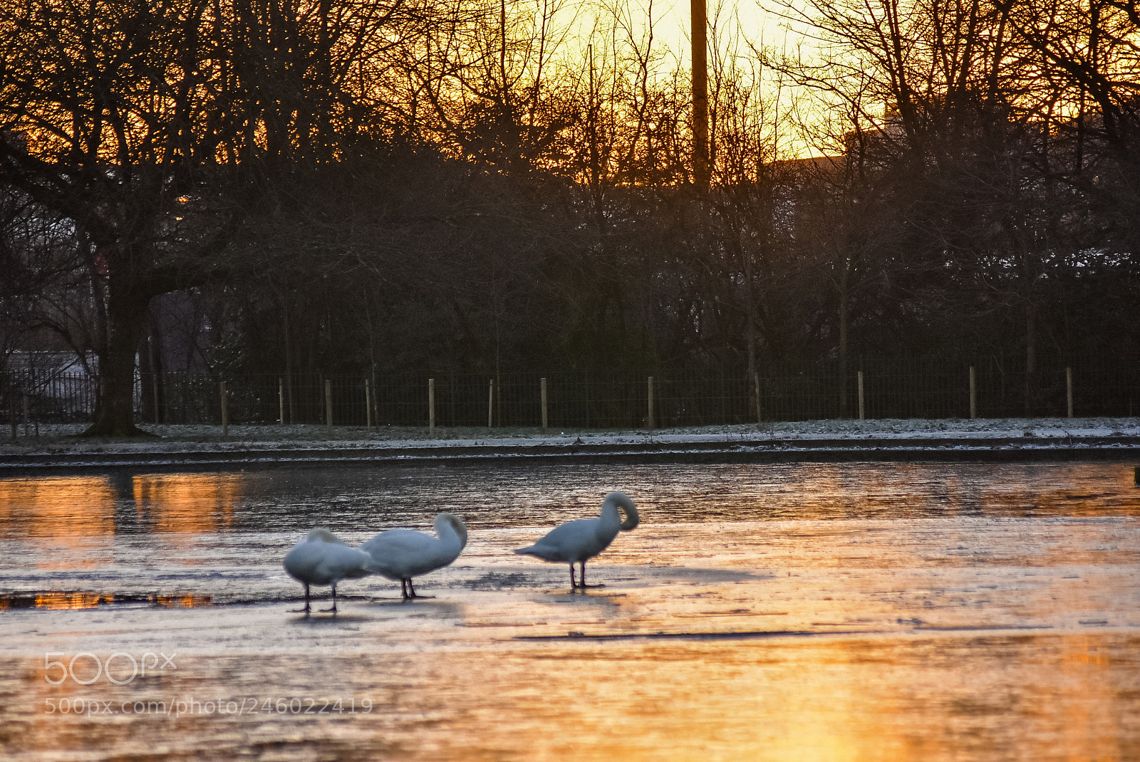 Nikon D7200 sample photo. Original edited photography