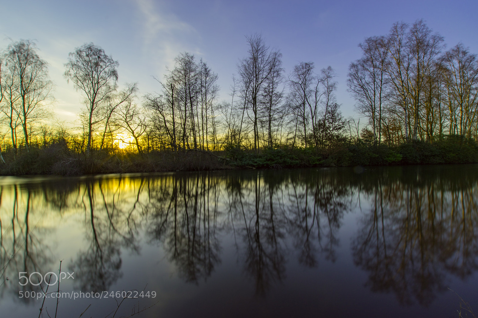 Nikon D5600 sample photo. Sunset reflections photography
