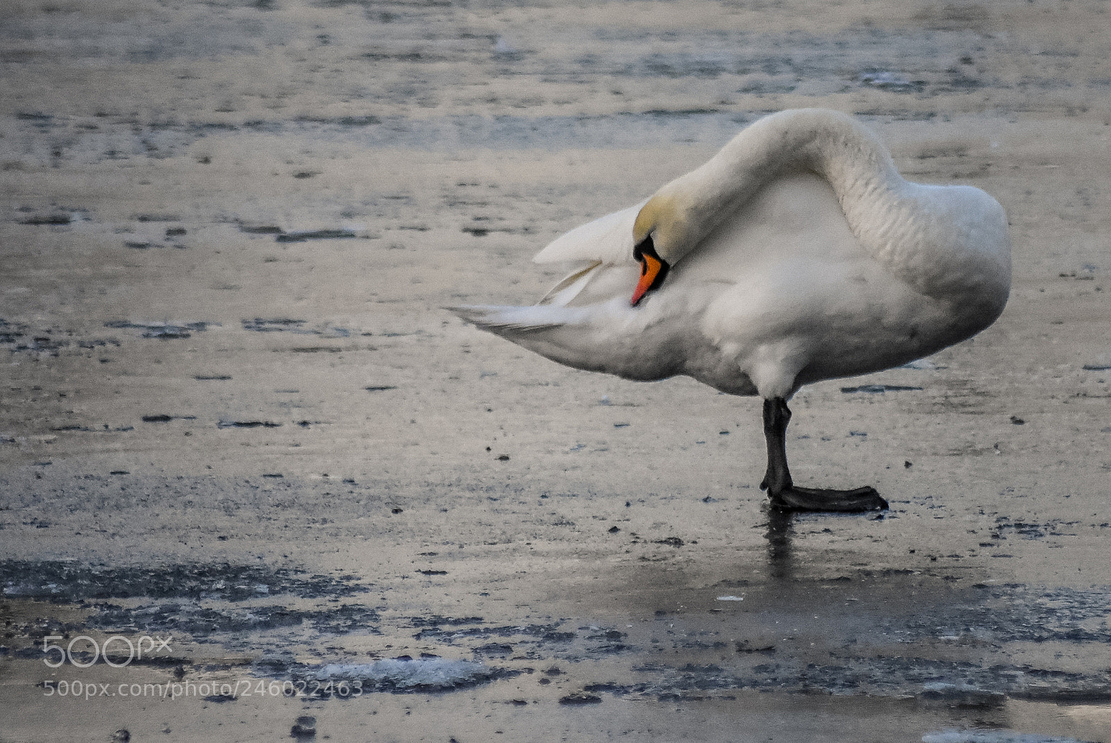 Nikon D7200 sample photo. Original edited photography