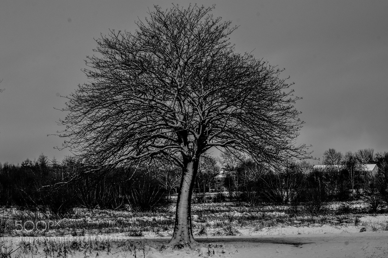 Nikon D7200 sample photo. Original edited photography