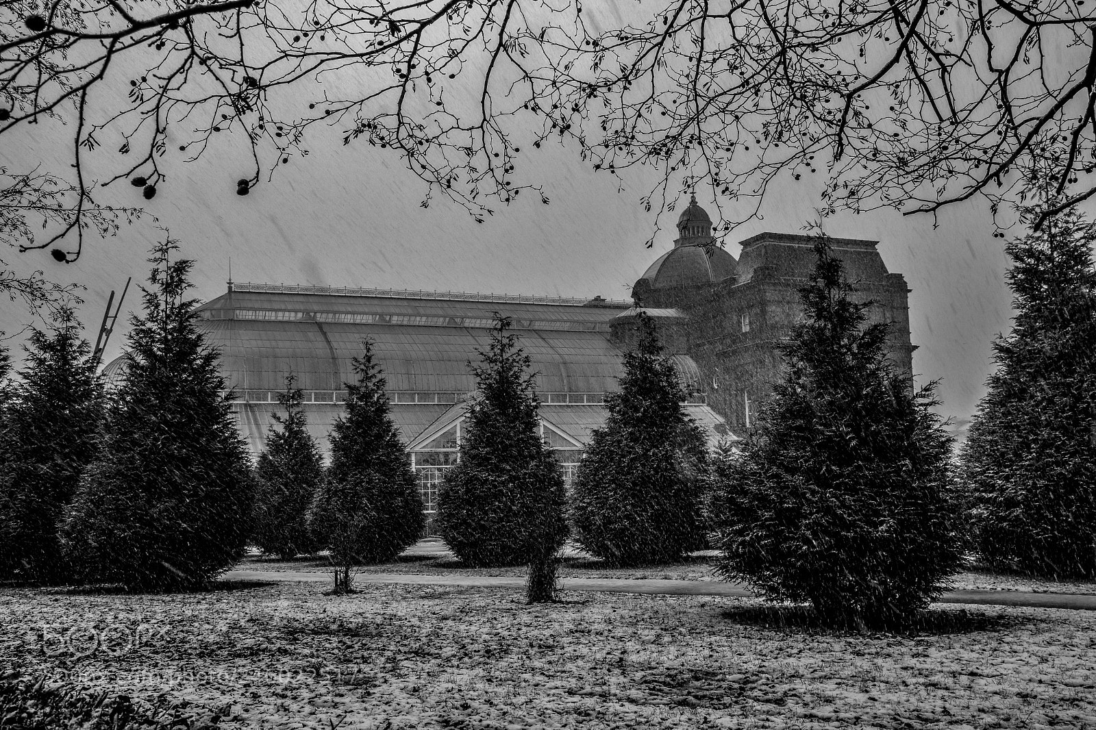 Nikon D7200 sample photo. Original edited photography