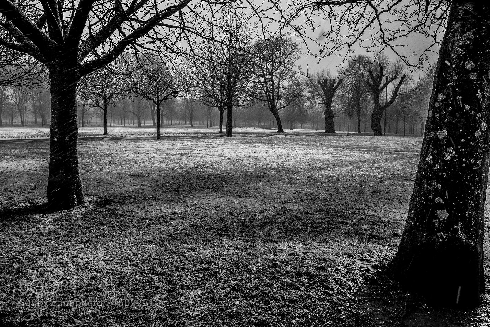 Nikon D7200 sample photo. Original edited photography