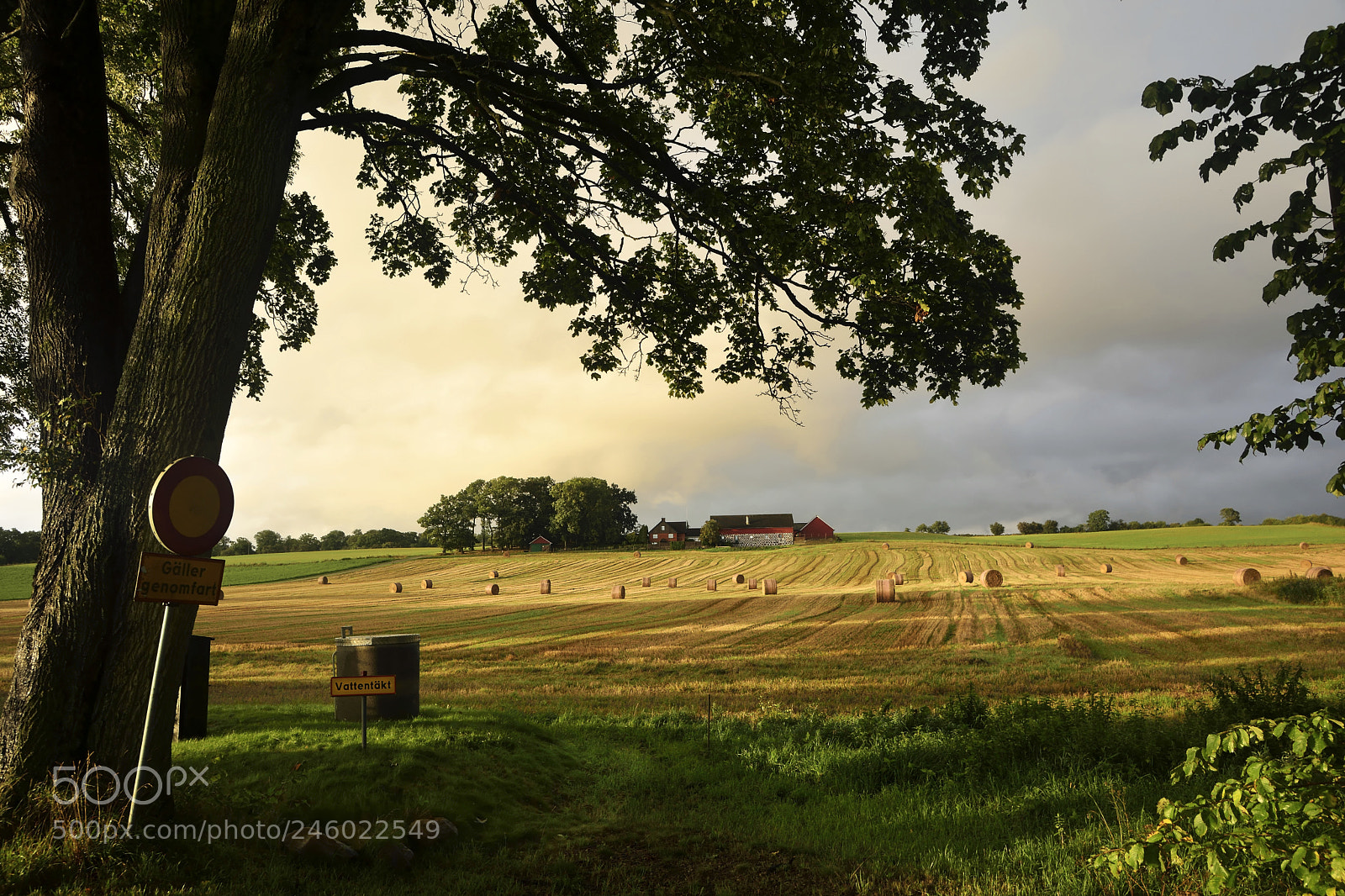 Nikon D7100 sample photo. Sweden aleatorias edit photography
