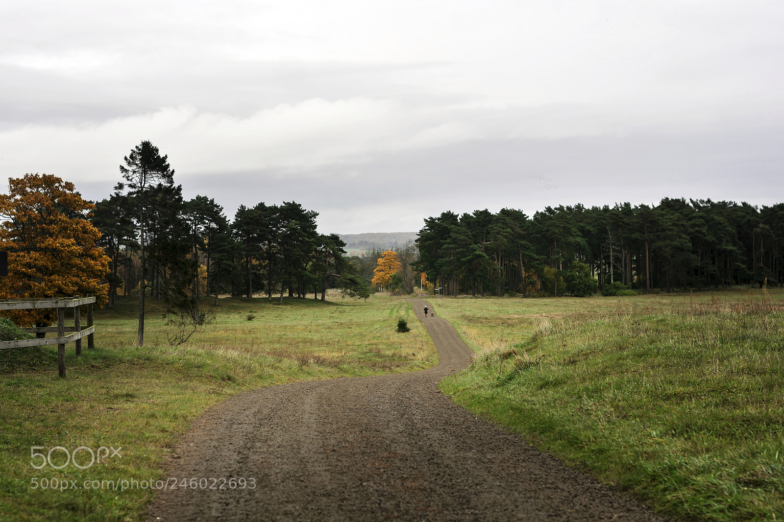 Nikon D7100 sample photo. Sweden aleatorias photography