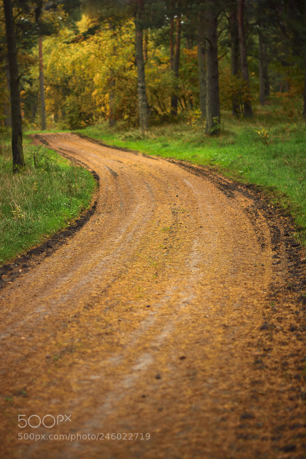 Nikon D7100 sample photo. Swedish country road photography