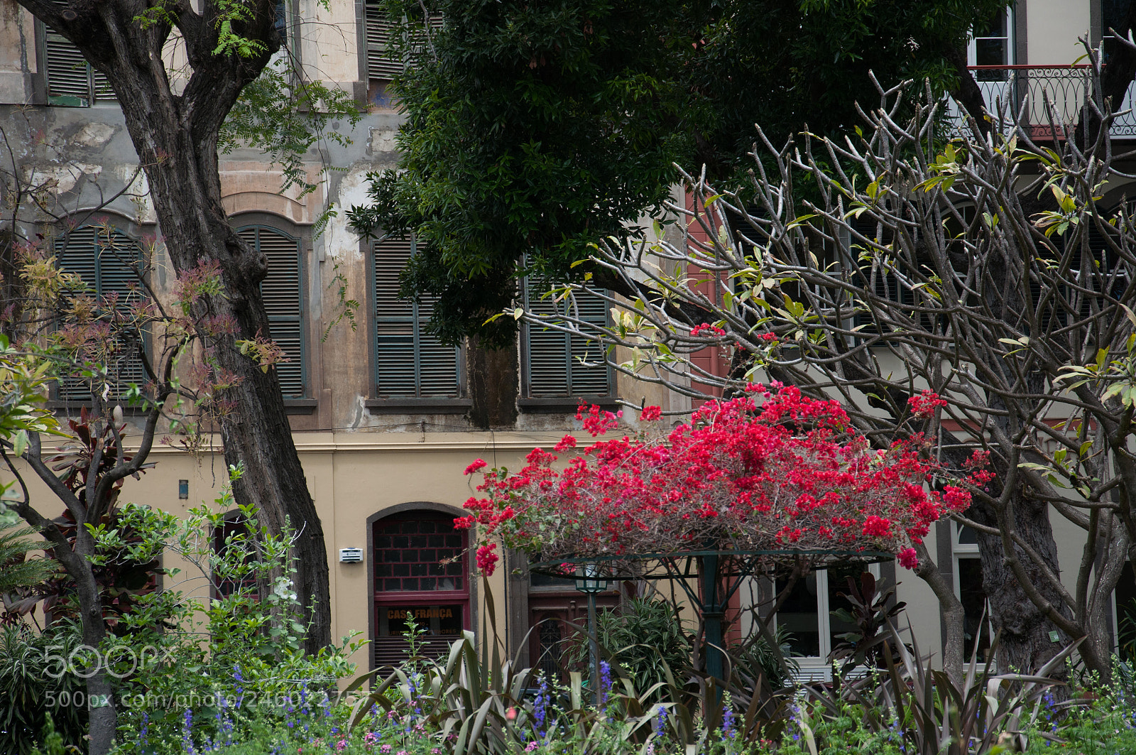 Nikon D5000 sample photo. Fine old house photography