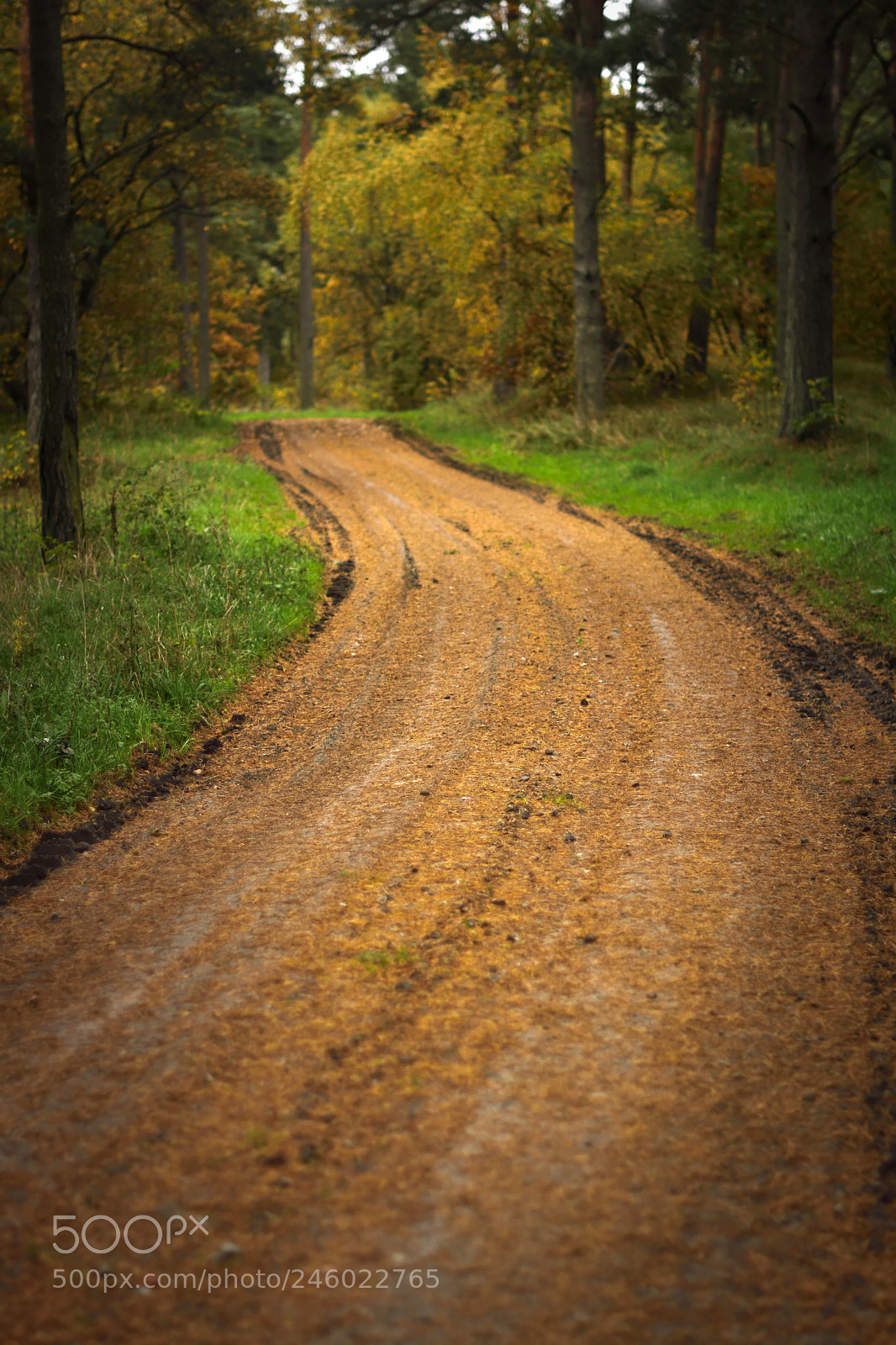 Nikon D7100 sample photo. Swedish country road photography