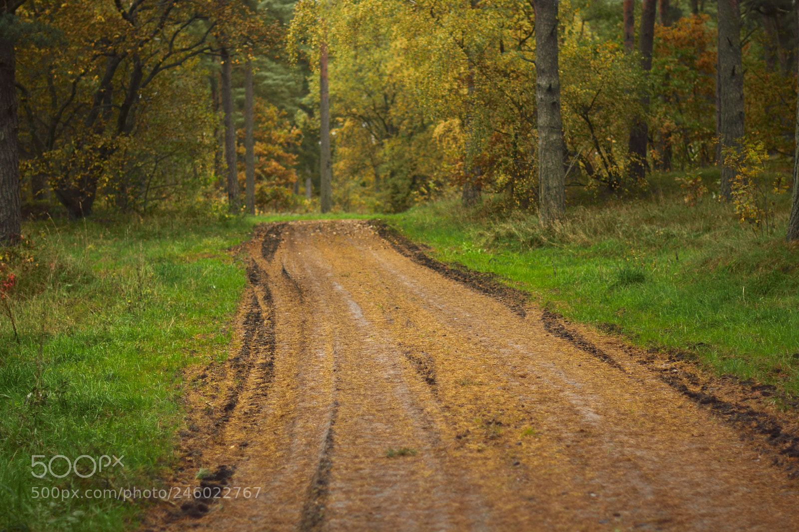 Nikon D7100 sample photo. Swedish country road photography