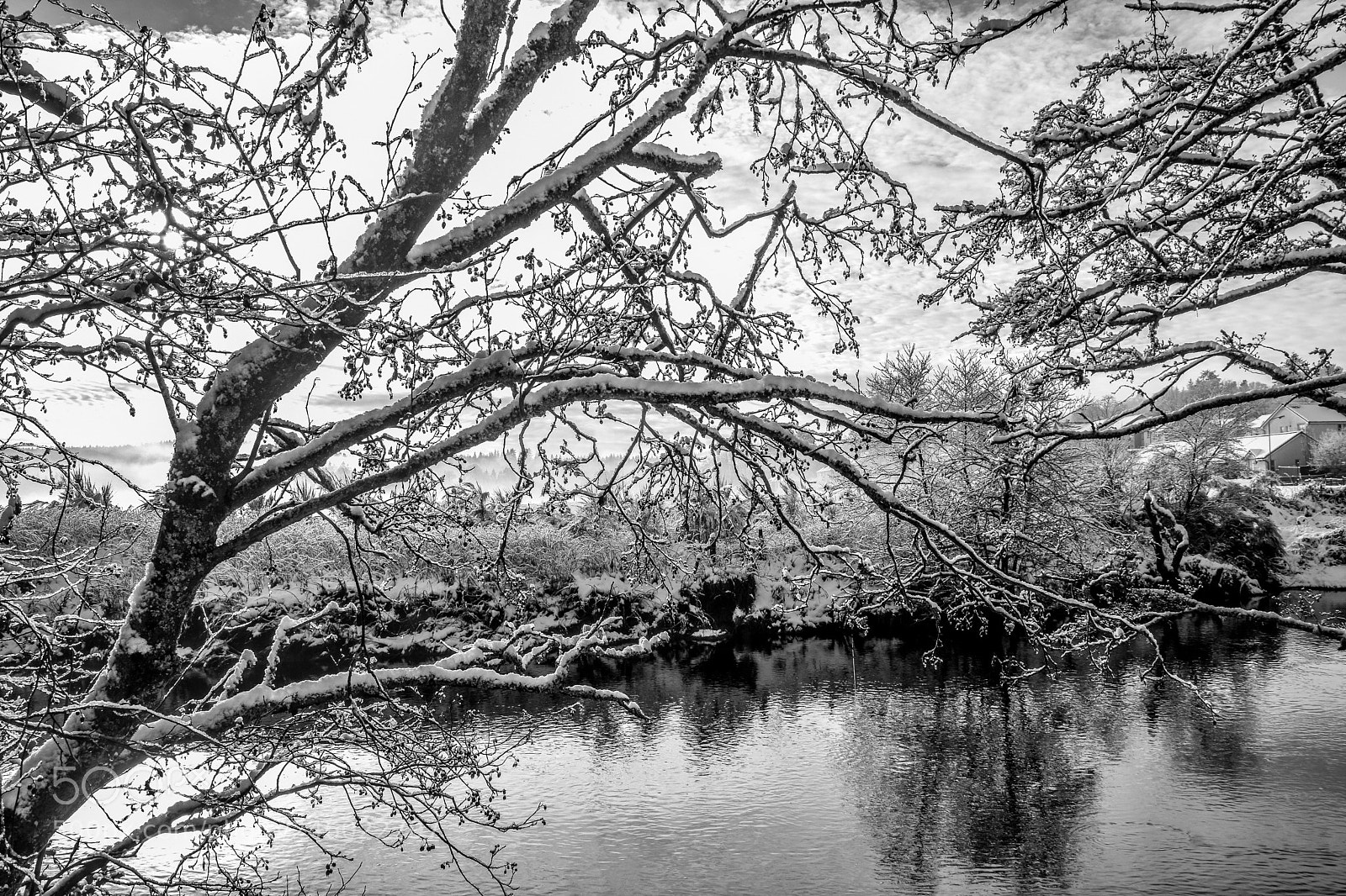 Nikon D7200 sample photo. Original edited photography
