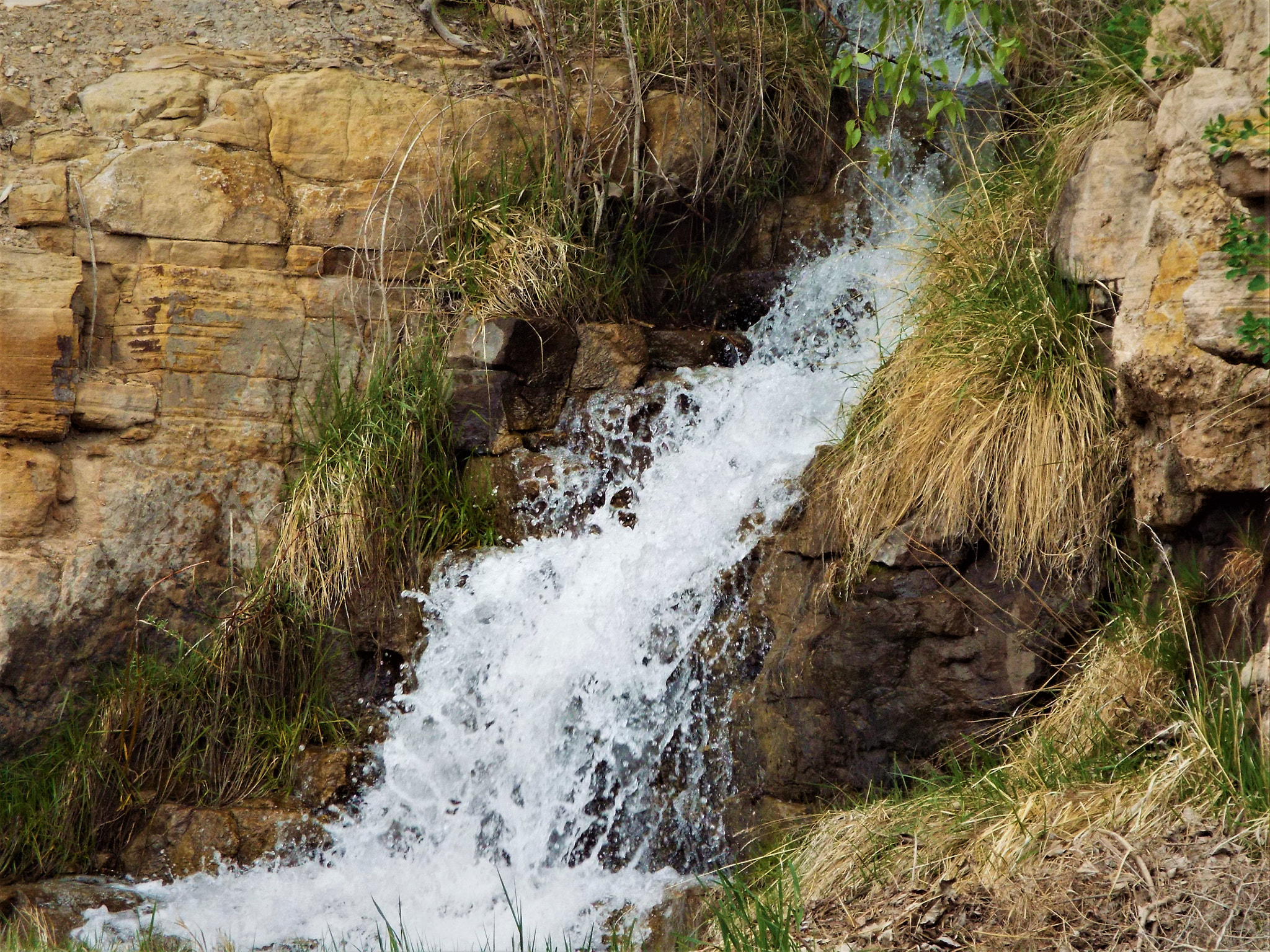 Fujifilm FinePix S8400W sample photo. Mountain spring photography