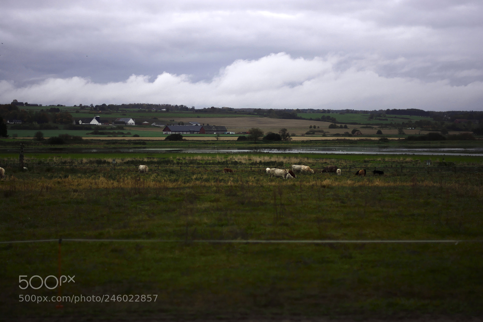 Nikon D7100 sample photo. Swedish countryside photography