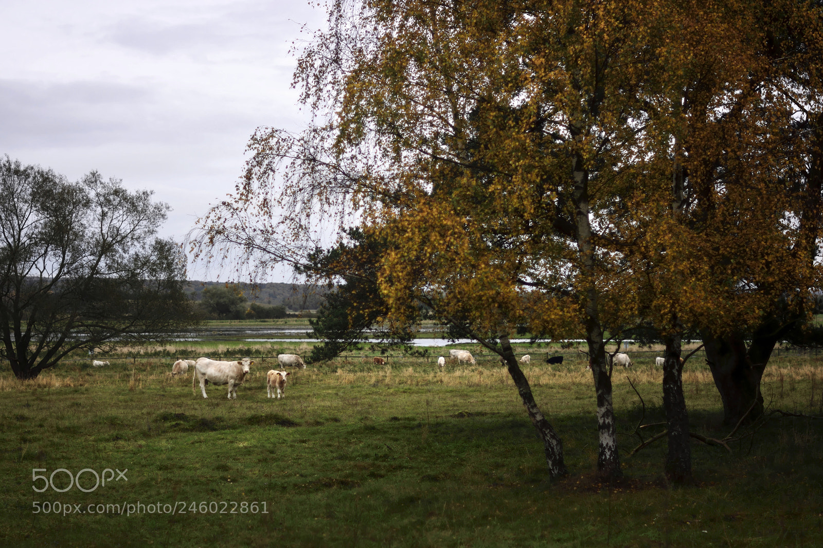 Nikon D7100 sample photo. Swedish countryside photography