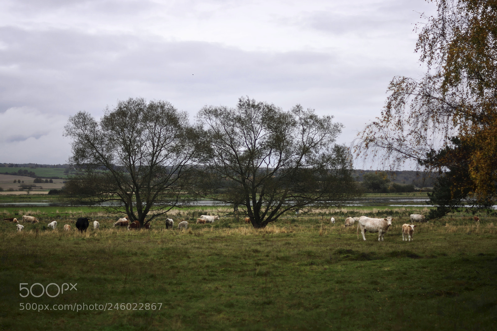 Nikon D7100 sample photo. Swedish countryside photography