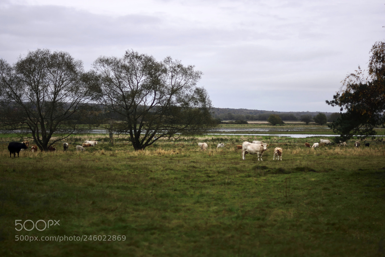 Nikon D7100 sample photo. Swedish countryside photography