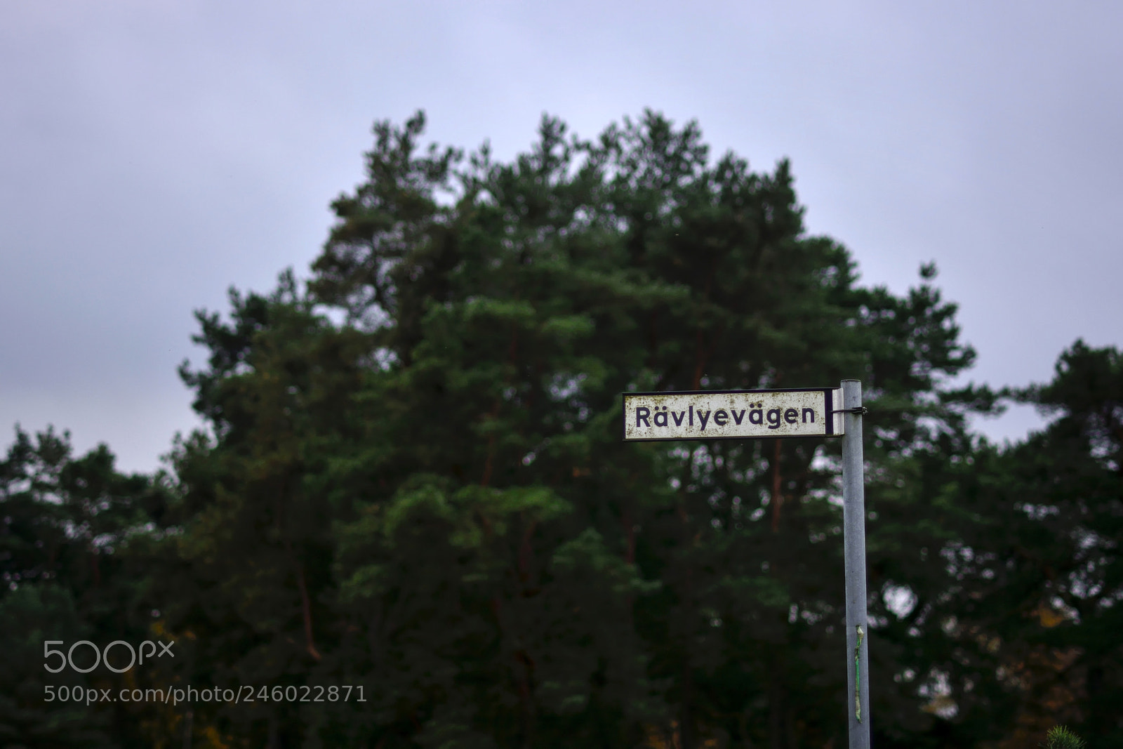 Nikon D7100 sample photo. Sweden aleatorias photography