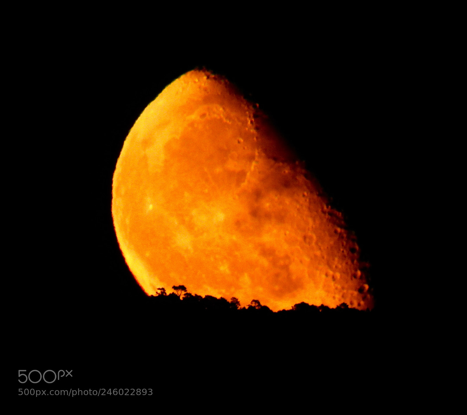 Nikon Coolpix P900 sample photo. Waning moon rising photography