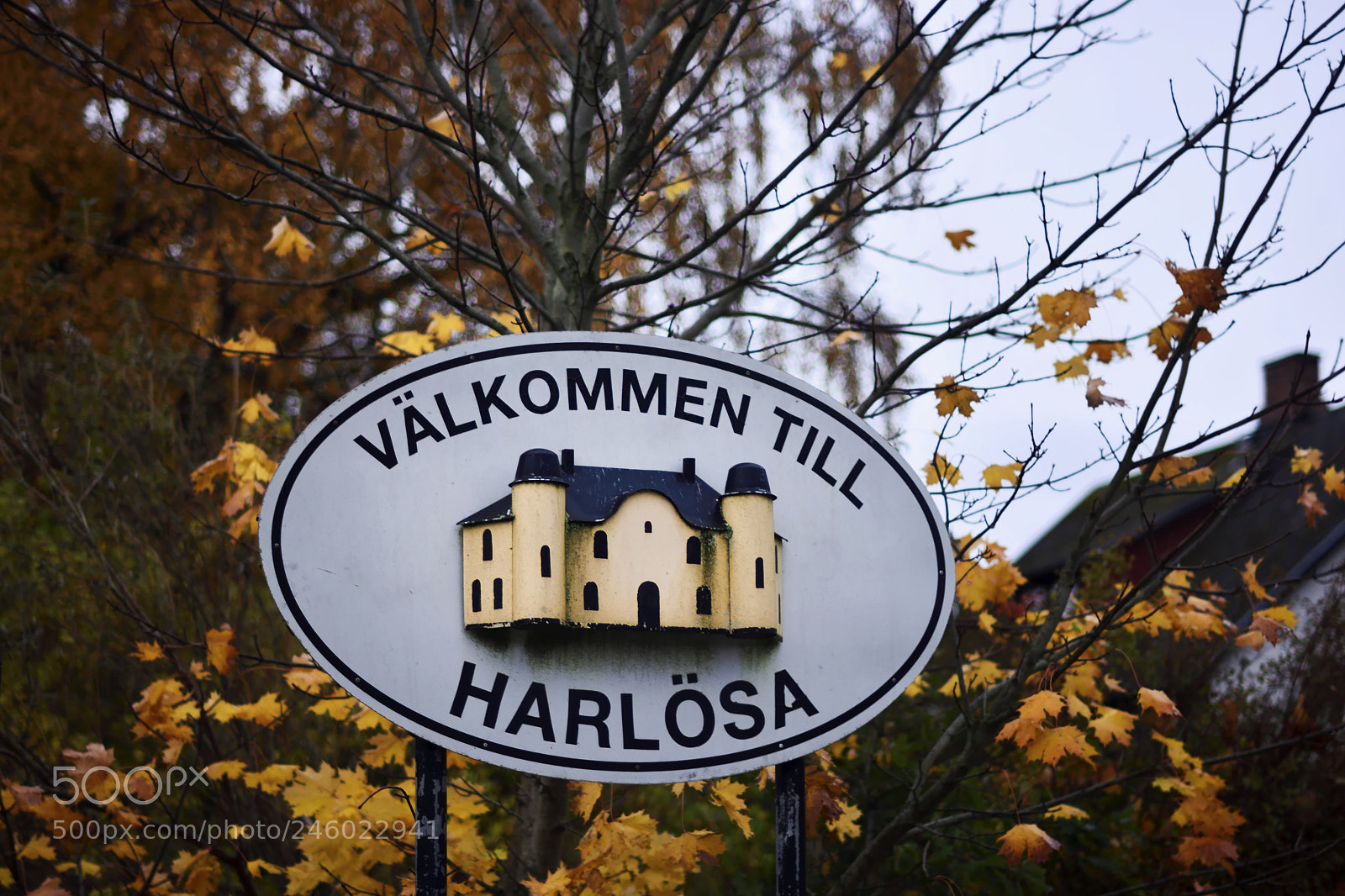 Nikon D7100 sample photo. Sweden aleatorias photography