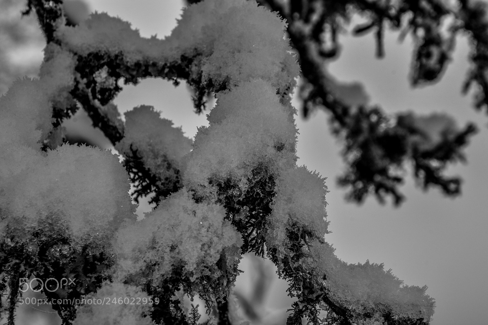 Nikon D7200 sample photo. Original edited photography