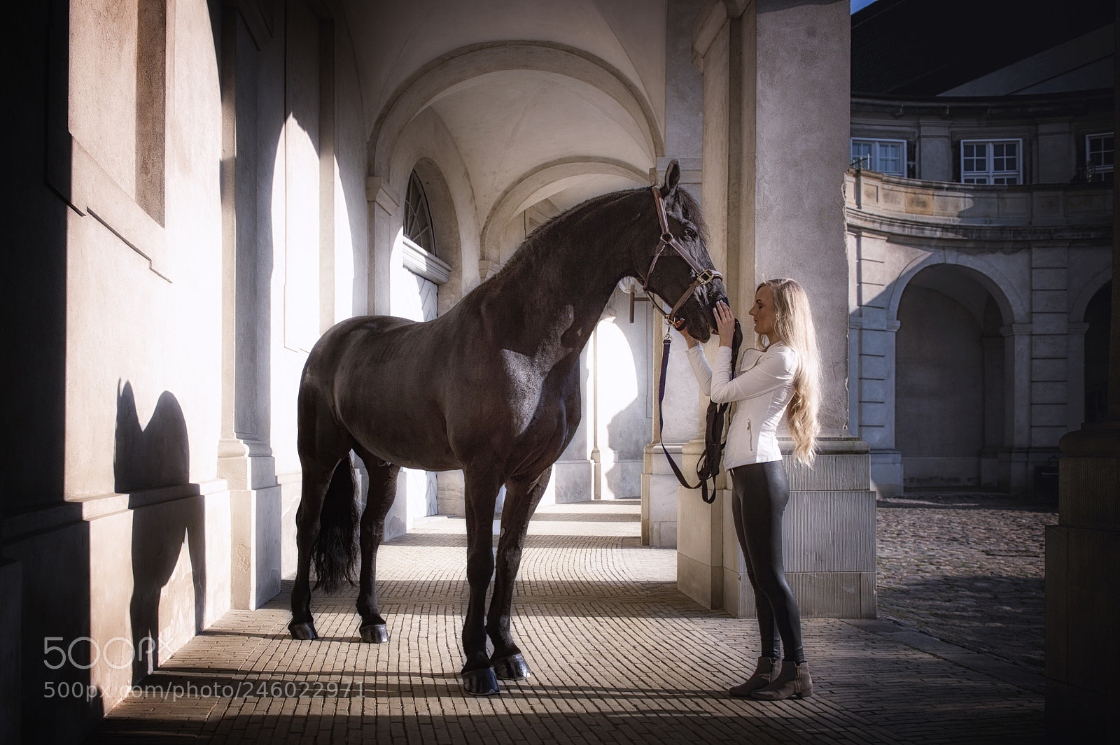 Nikon D4S sample photo. Equinelife photography