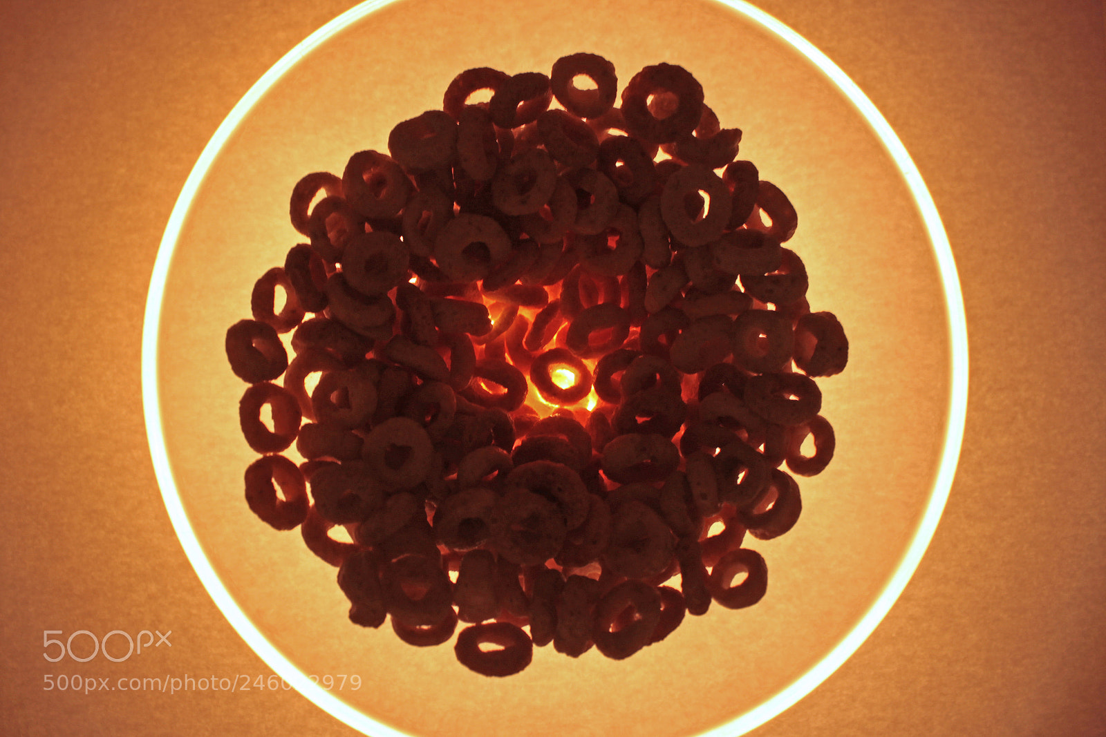 Canon EOS 500D (EOS Rebel T1i / EOS Kiss X3) sample photo. A bowl of cereal photography